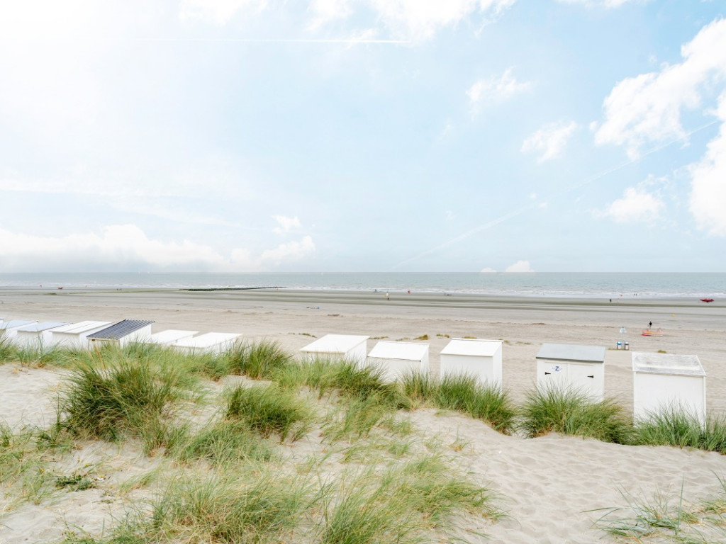Zeedijk - 40 GLV - Velasquez - 8620