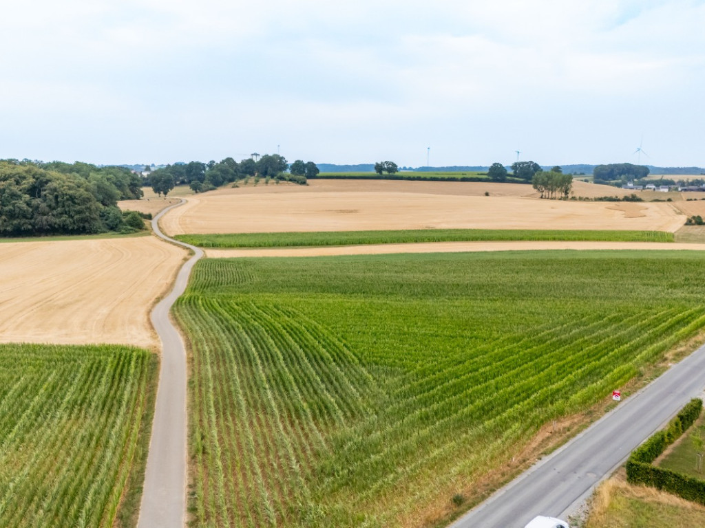 Rue de Steinfort - 0 - - 6700