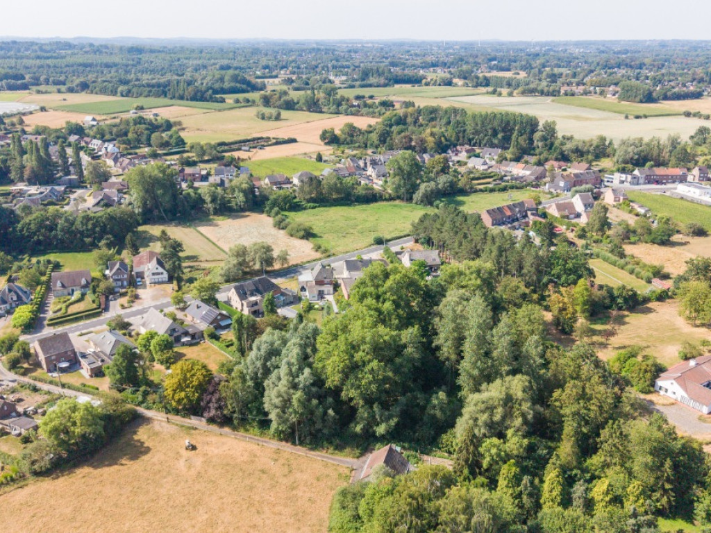 Pachting - X - - 9310