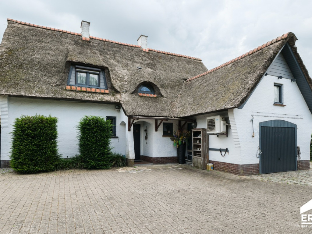 Ringlaan - 143 - - 3900
