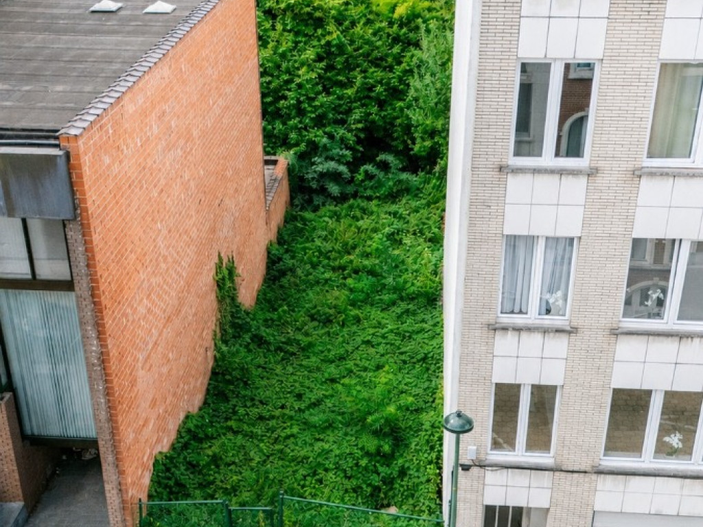 Rue du Menuet - 12 - - 1080