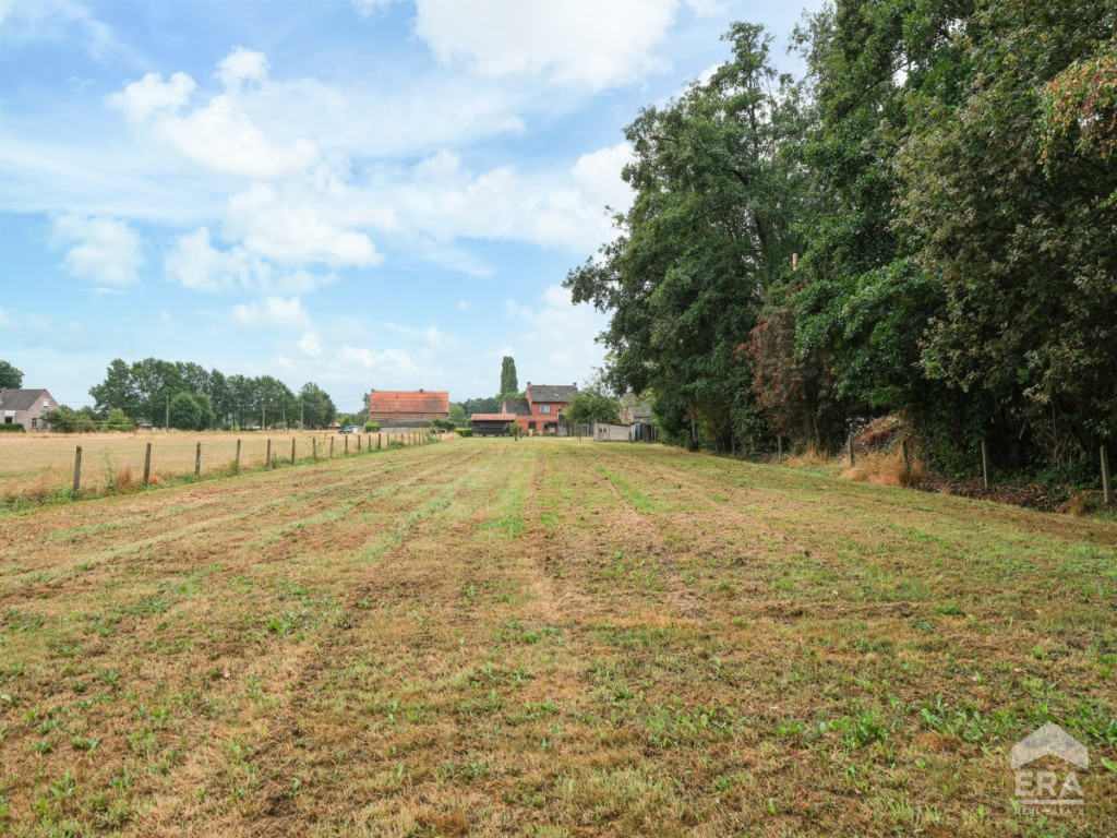 Ramselsesteenweg - 69 - - 2230