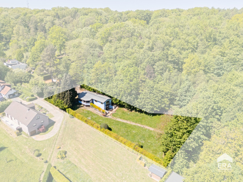Wortelenberg - 48 - - 1653