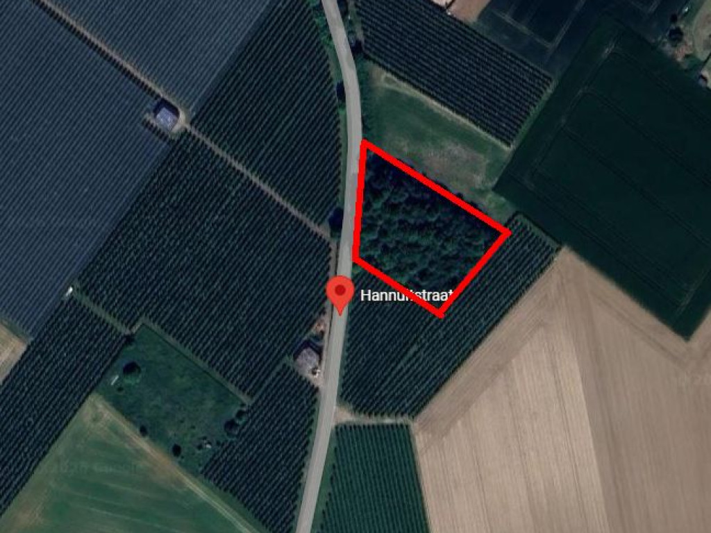 Meerveld - zn - - 3890