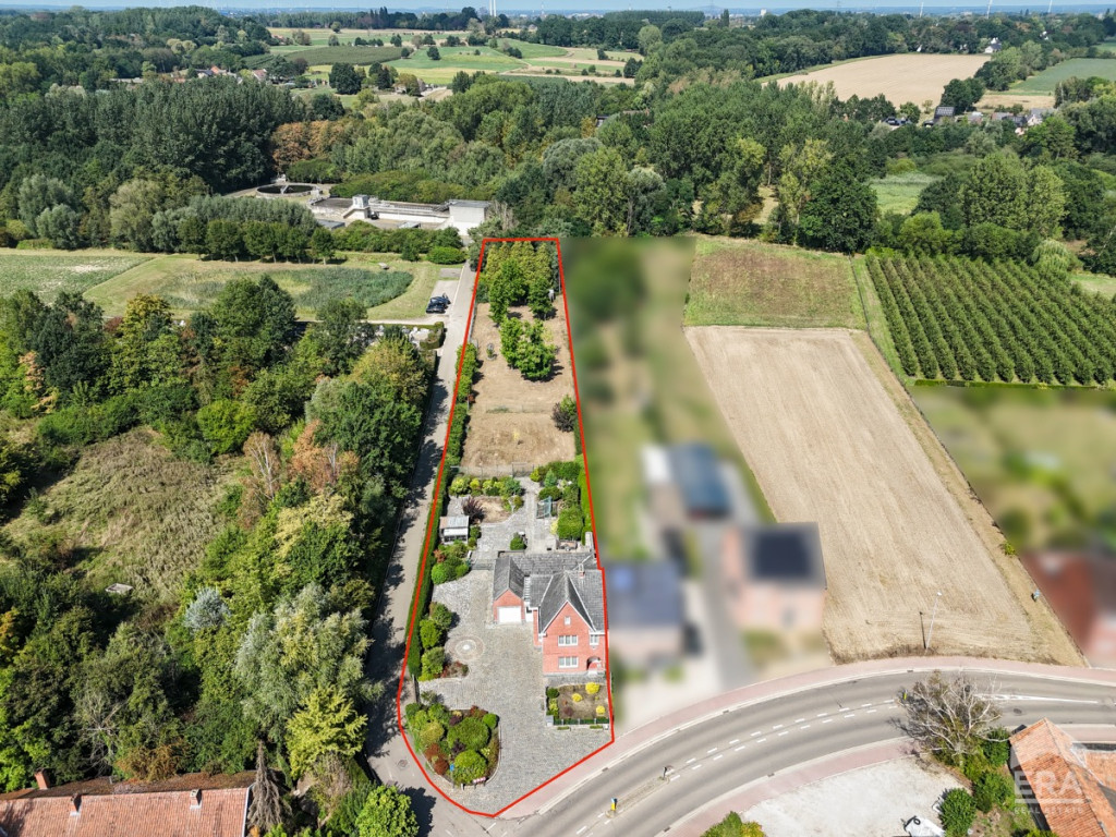 Wimmertingenstraat - 39 - - 3500