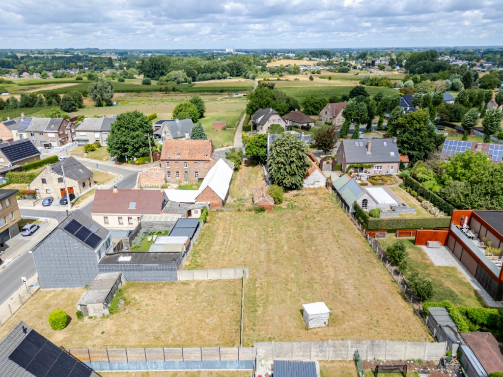 's Gravenkerselaar - 54 - - 9450