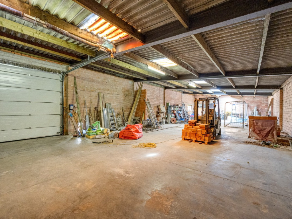 Nering - 5 - - 2310