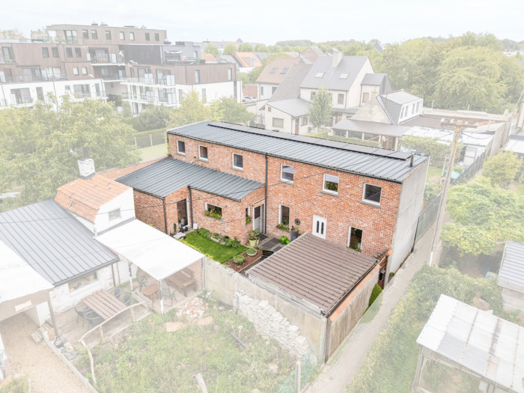 Wolvenstraat - 12 - - 9550