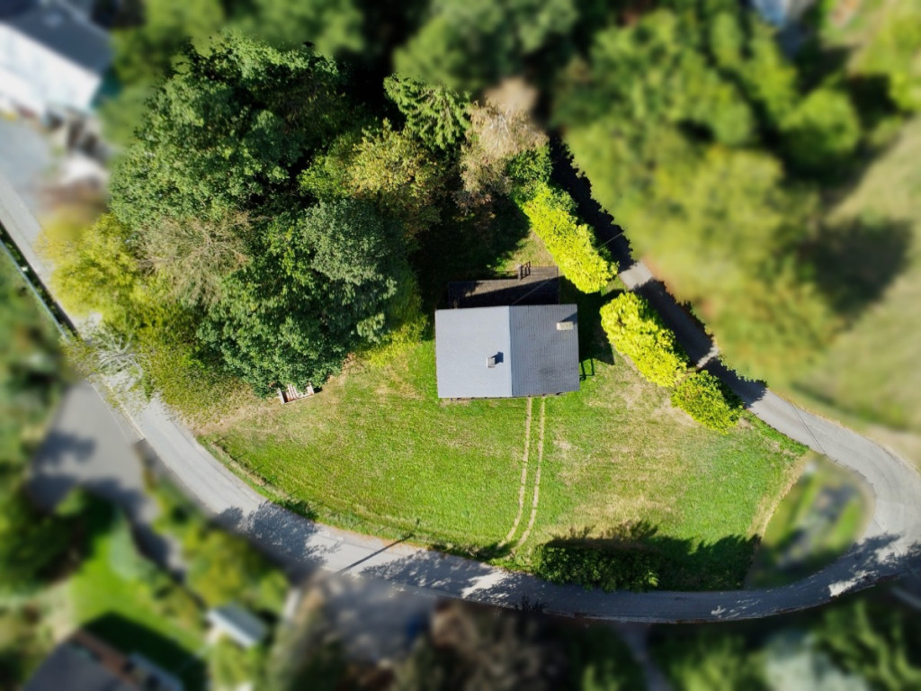 Sur les Thiers - 16 - - 4990