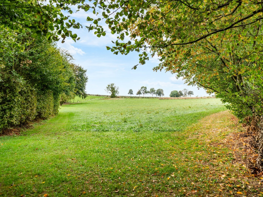 chemin des champs mayet - 15 - - 6840