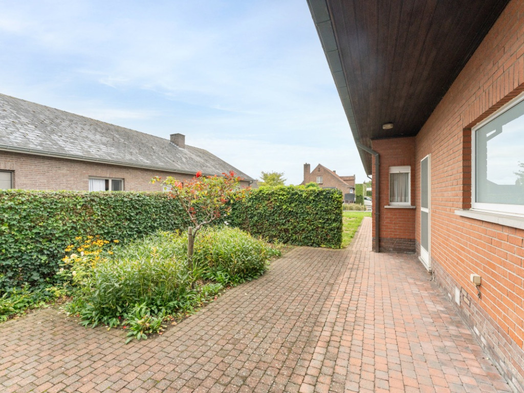 Rozenlaan - 6 - - 281 H - 9880