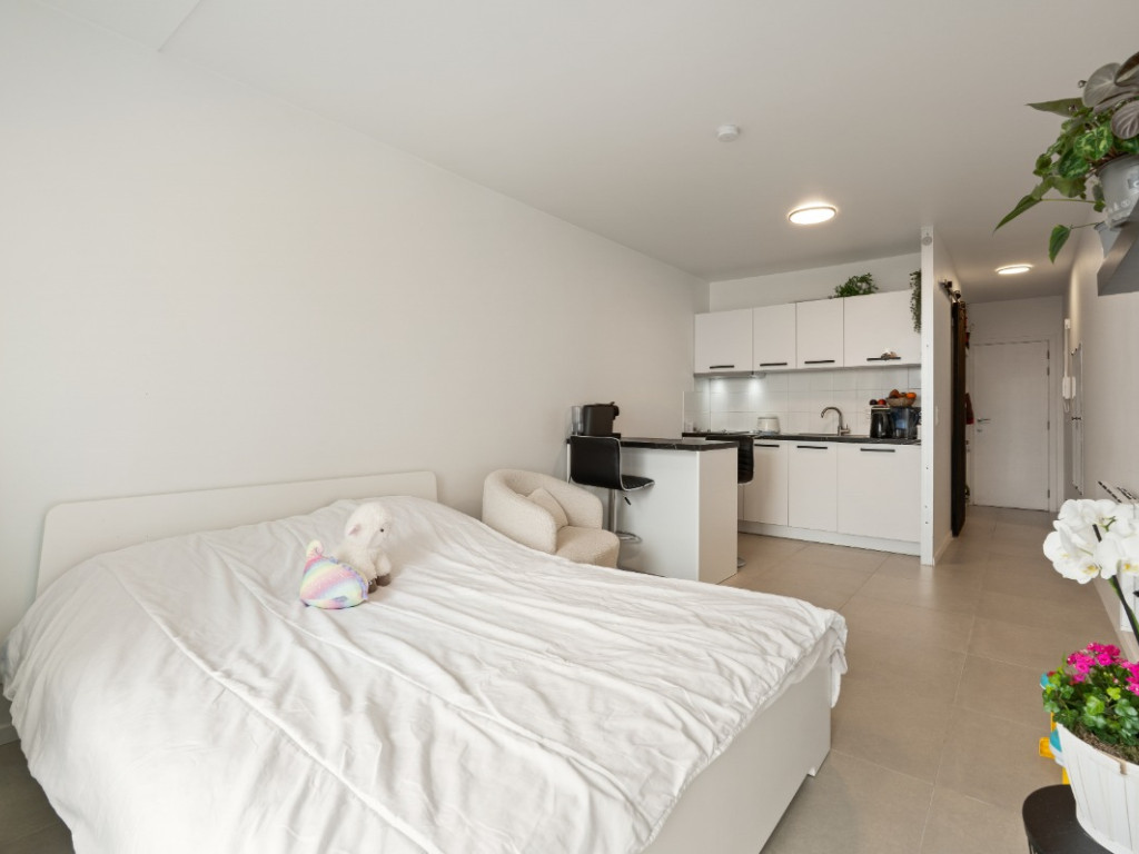 Zeedijk - 336 - 2.12 - 8400
