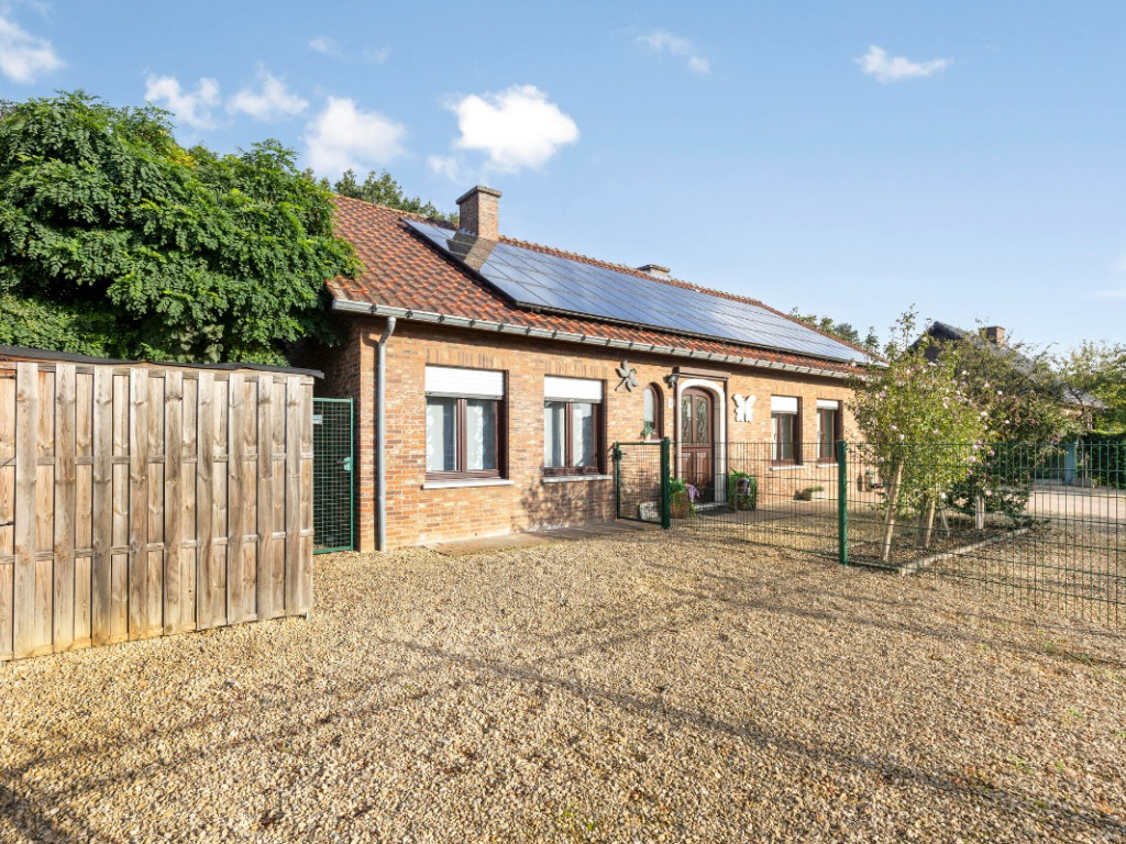 Bieweg - 5 - - 3582