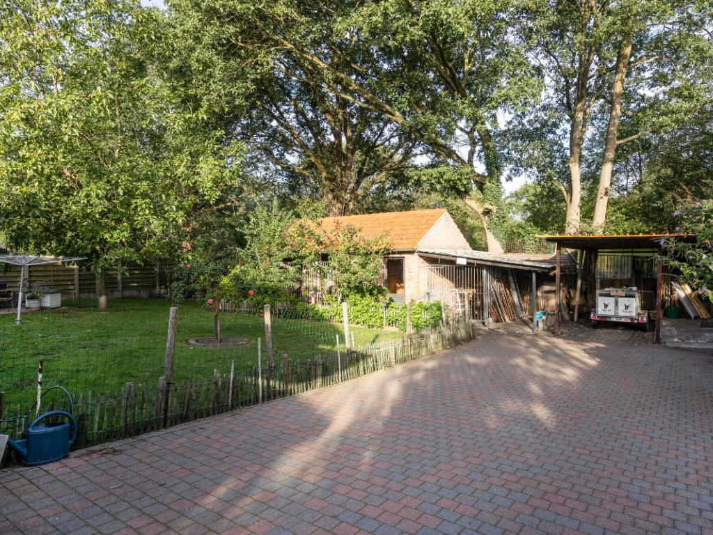 Bieweg - 5 - - 3582