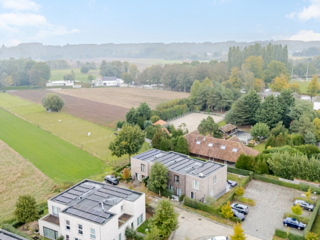 Sleedoorn - 29 - - 9300