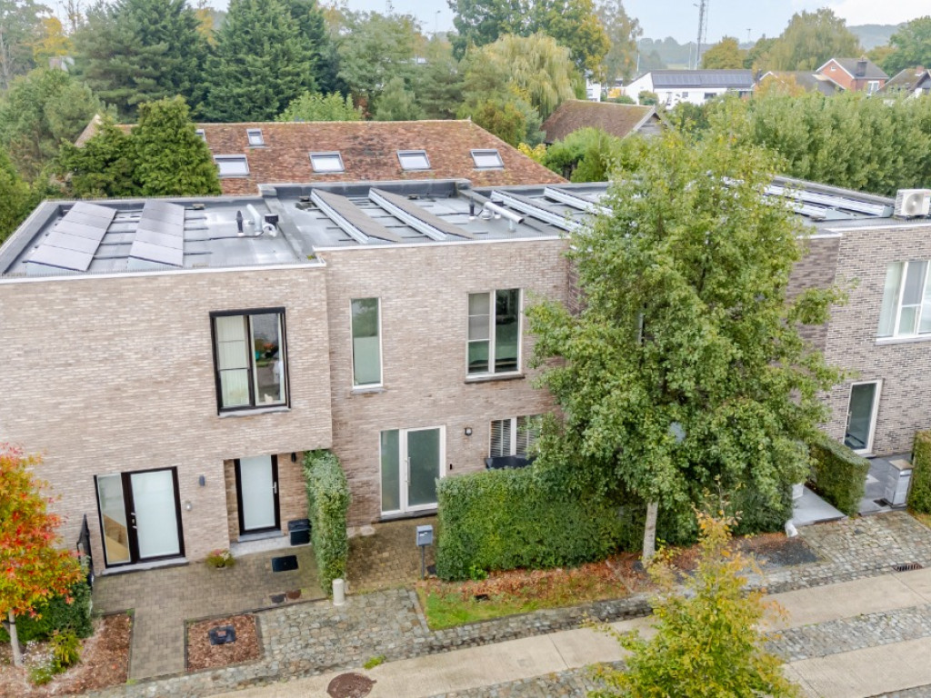 Sleedoorn - 29 - - 9300