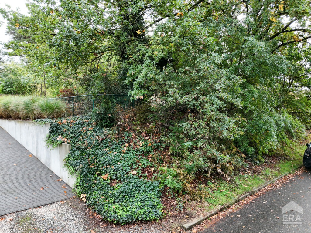 Wildrozenstraat - zn - - 3530