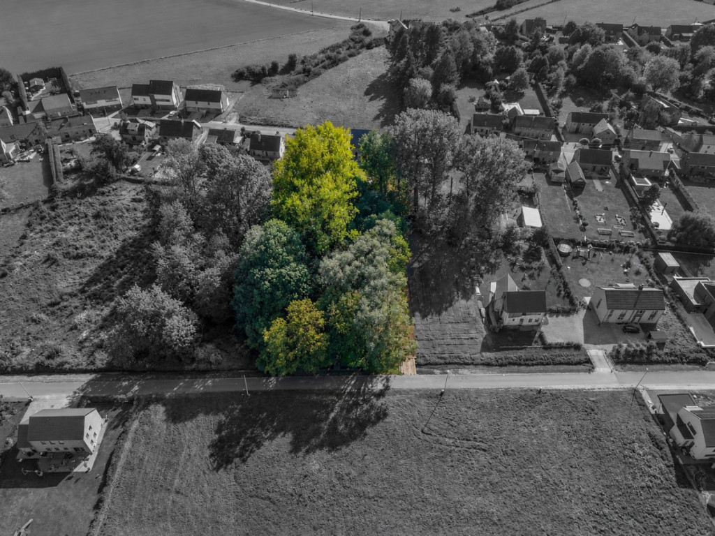 Rue Bois Notre Dame - 30 - - 5081
