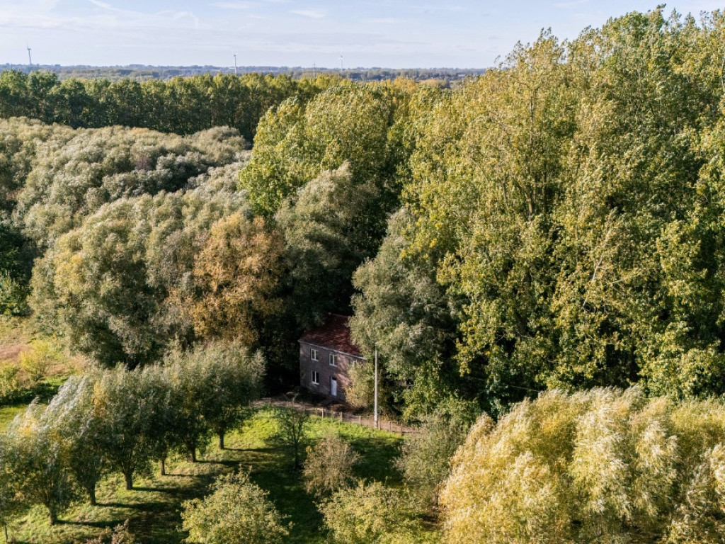 Bornbosweg - 3 - - 1760