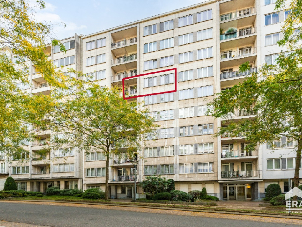 Avenue de la Basilique - 373 - - 1081