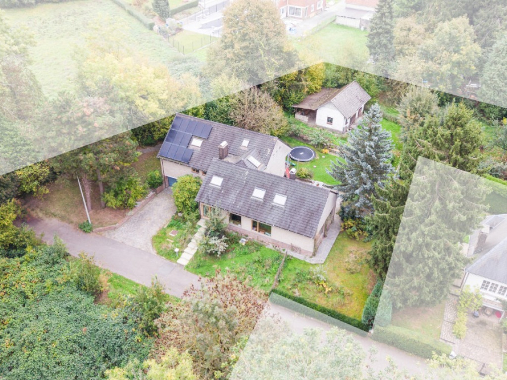 Bosweg - 6 - - 1703