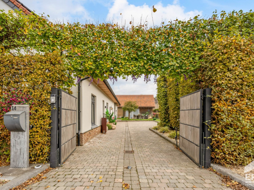 Pastorijstraat - 14 - - 3540