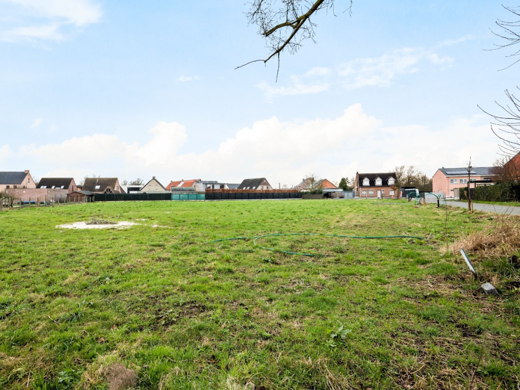 Haverblok - 4 - - 2870
