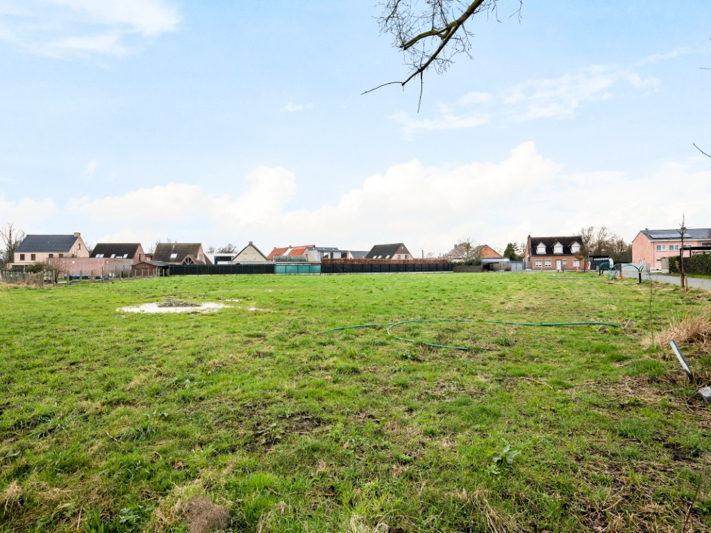 Haverblok - 7 - - 2870