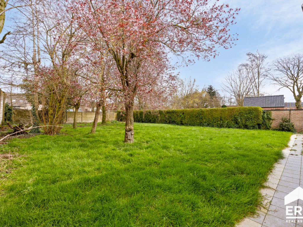 Pastoor termotestraat - 12 - - 8750