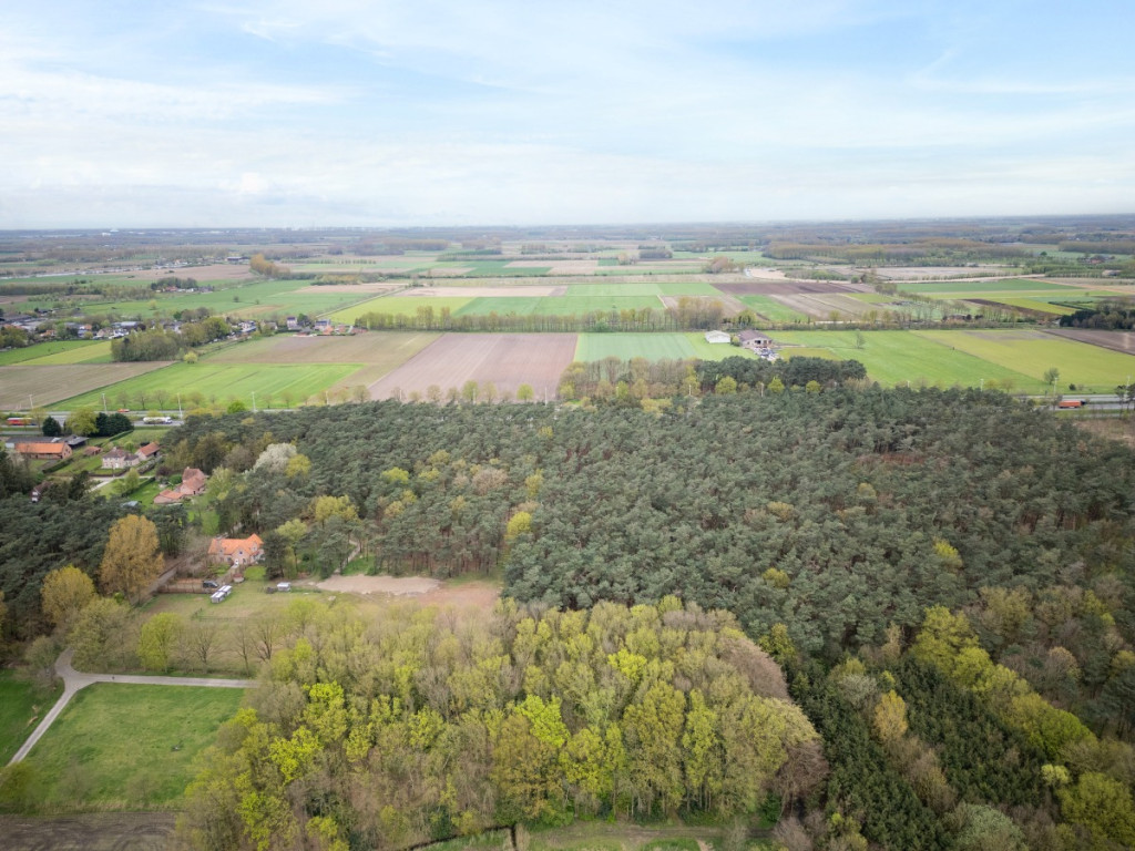 Zandberg - 0 - - 9180