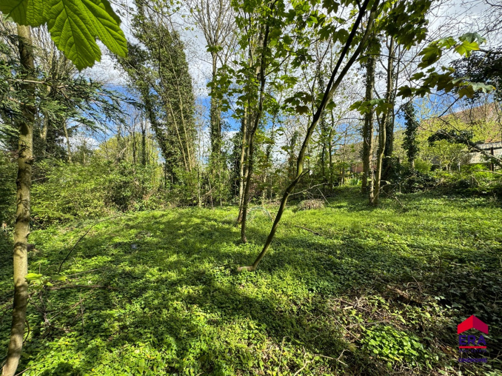 Rue Moray - 13T - - 4218