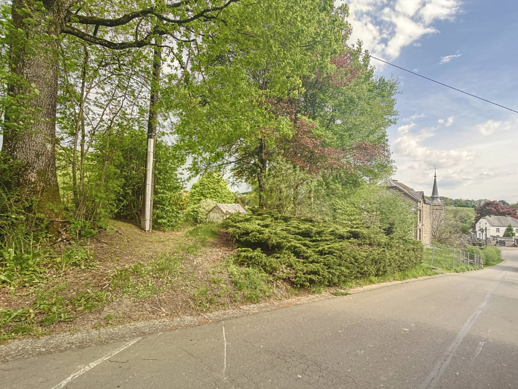 Bovigny - 3 - - 6671