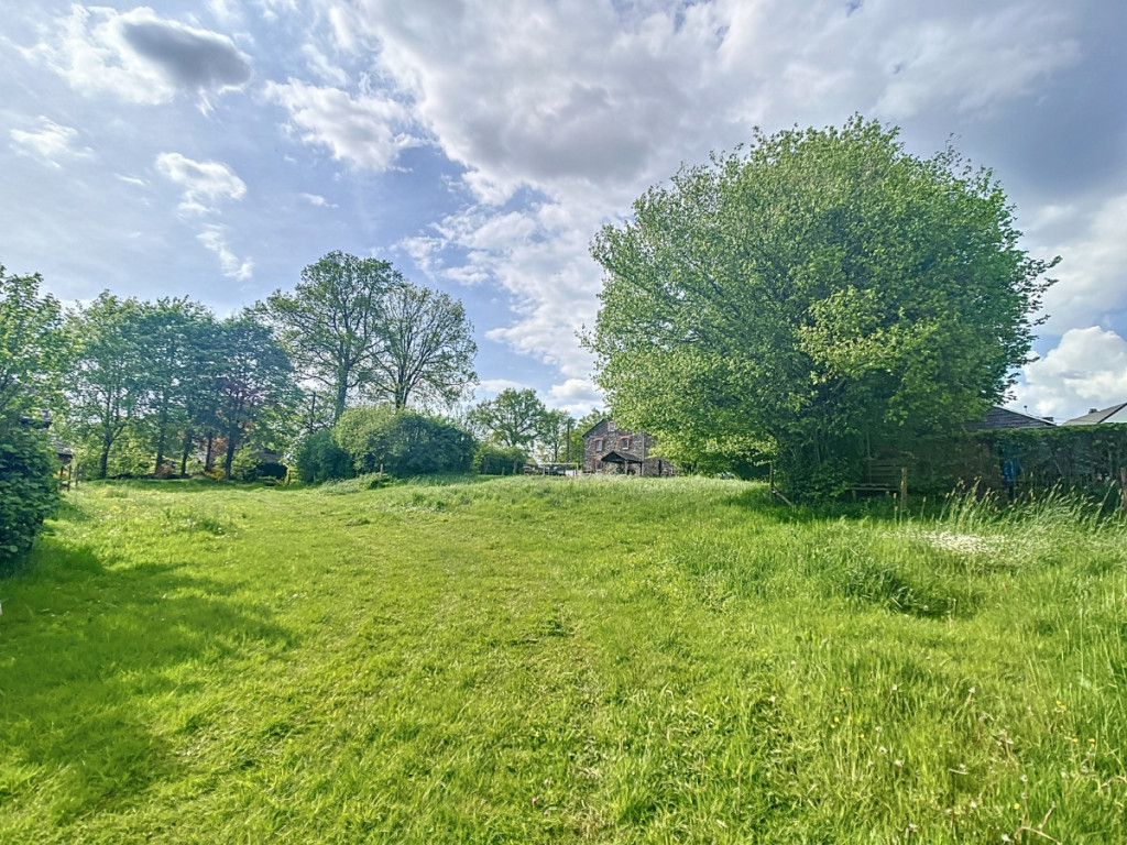 Bovigny - 3 - - 6671