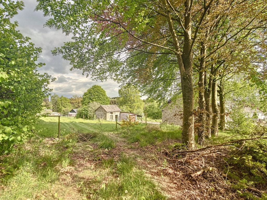 Bovigny - 3 - - 6671
