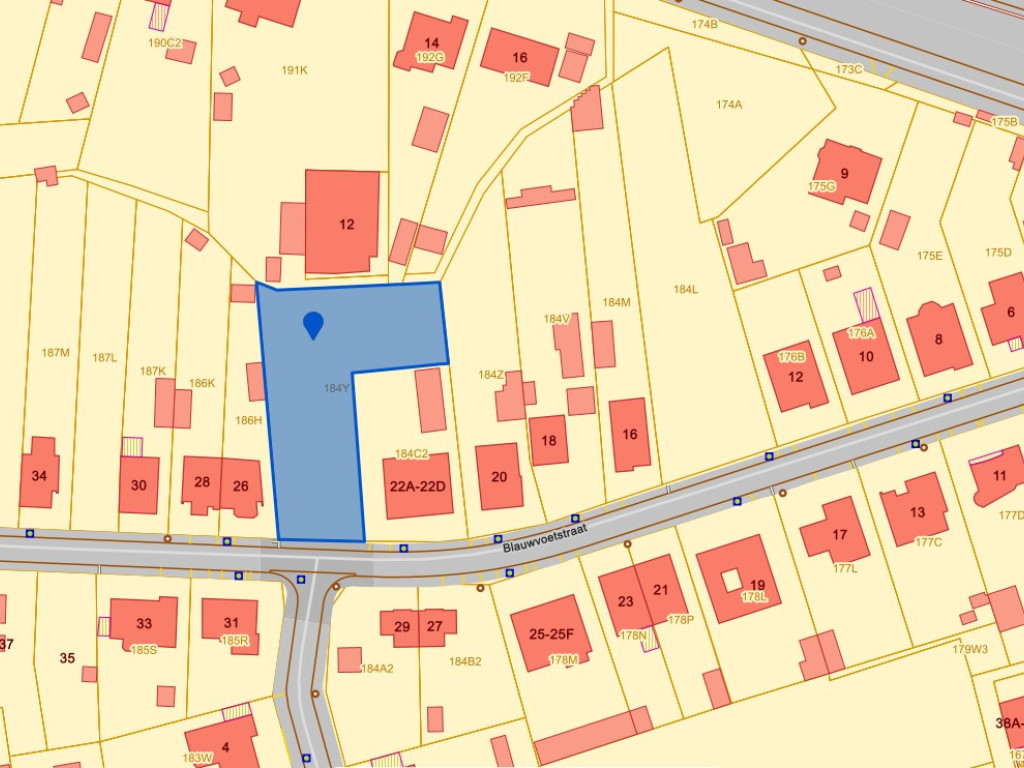 Blauwvoetstraat - zn - - 2260