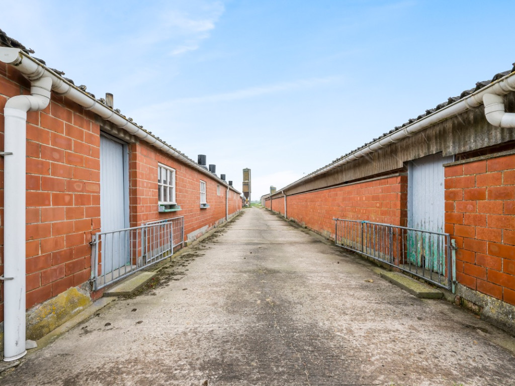 Gemenestraat - 20A - - 9130