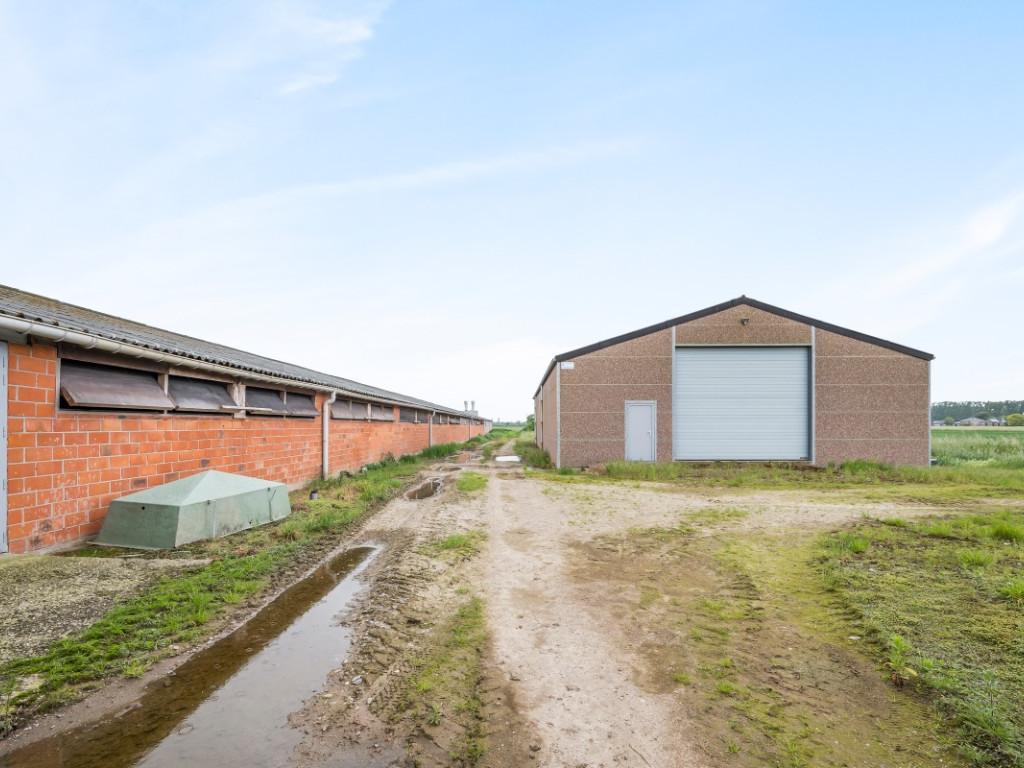 Gemenestraat - 20A - - 9130