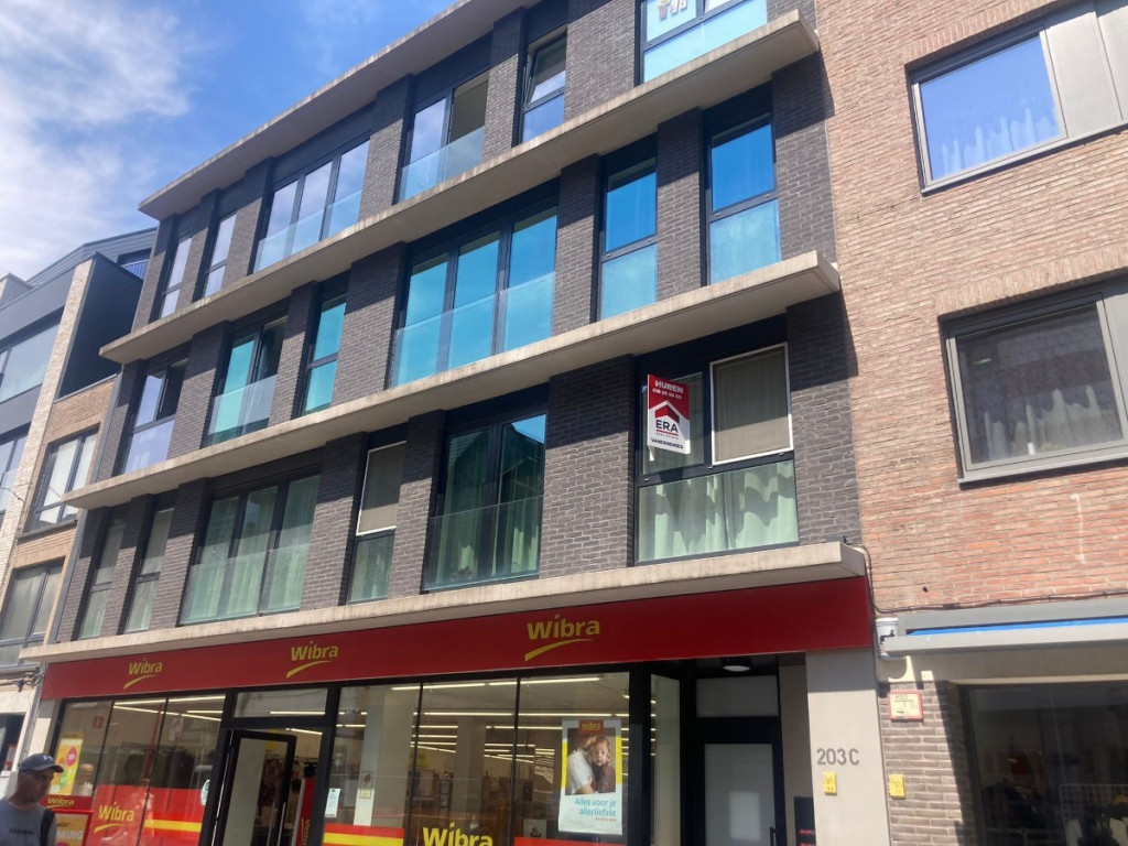 Diestsestraat - 203 - 0101 - 3000