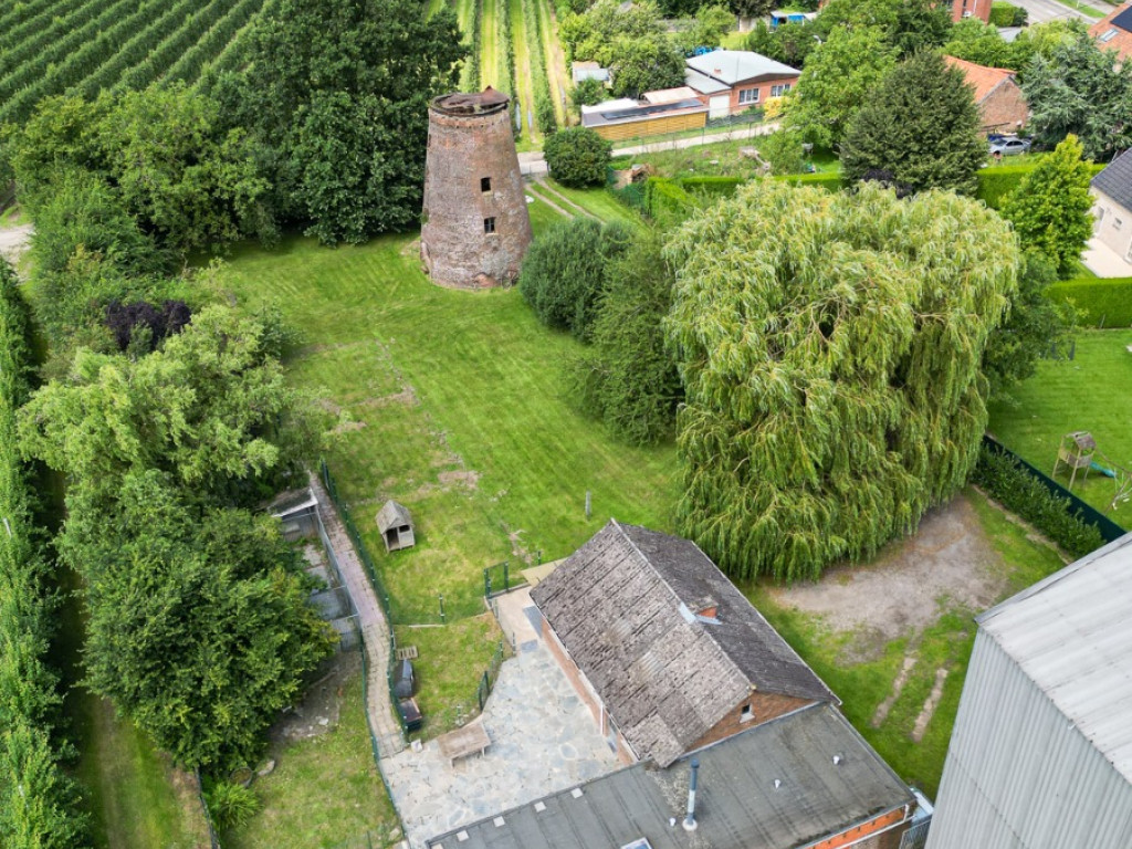 Grote Steenweg - 183 - - 3450
