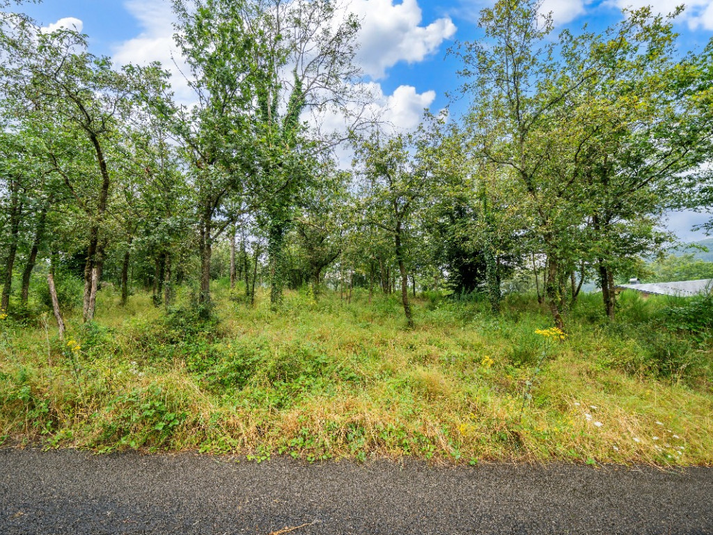 Rue des Monts - 0 Lot 2 - - 6990