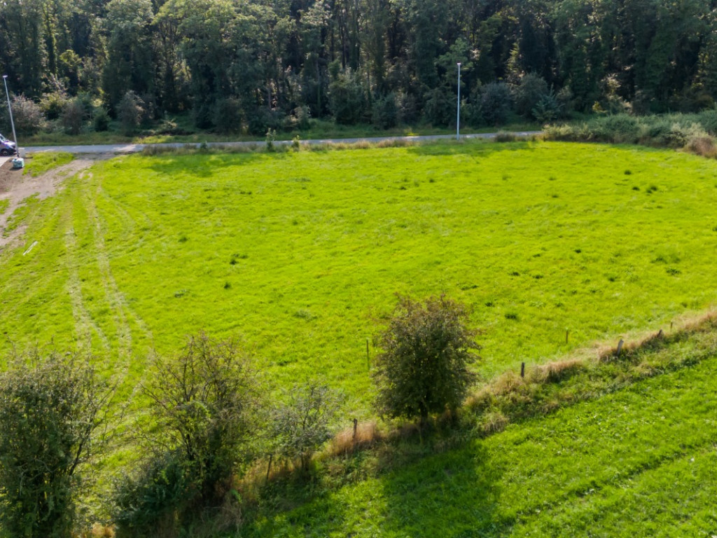 Tier de viné - 0 - - 6940