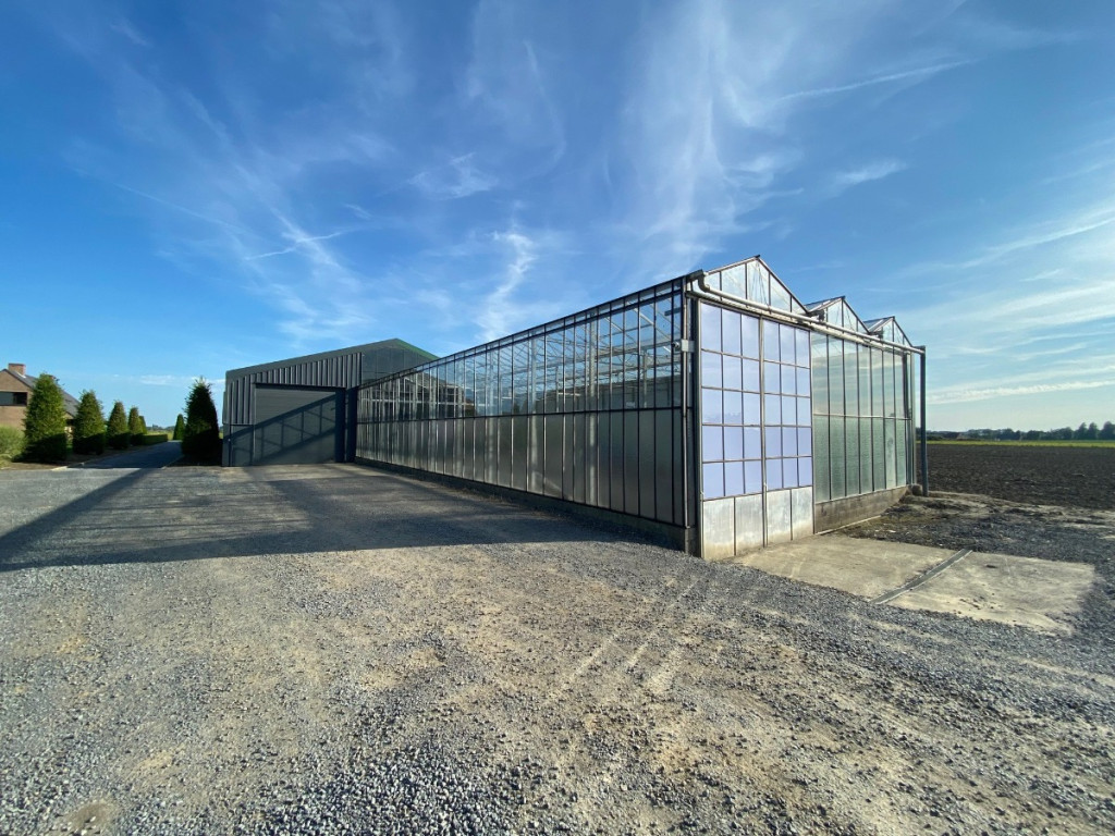 Turkeijensteenweg - 19 - - 8740