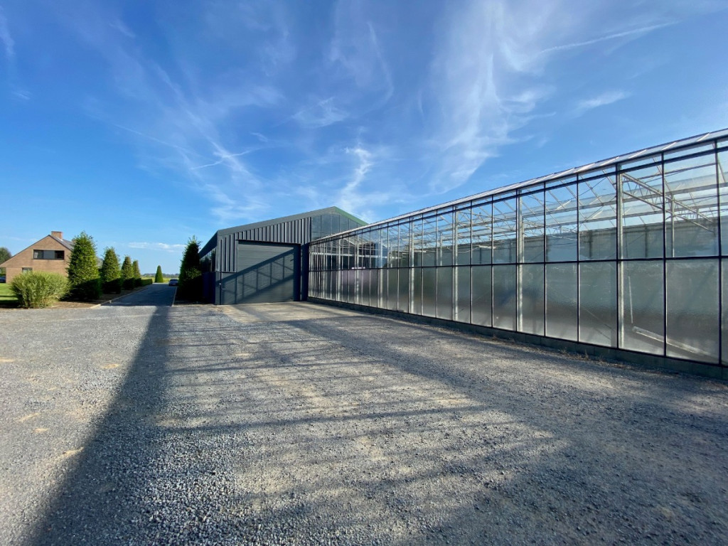 Turkeijensteenweg - 19 - - 8740