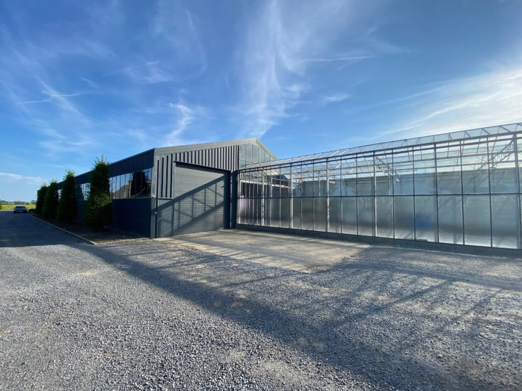 Turkeijensteenweg - 19 - - 8740