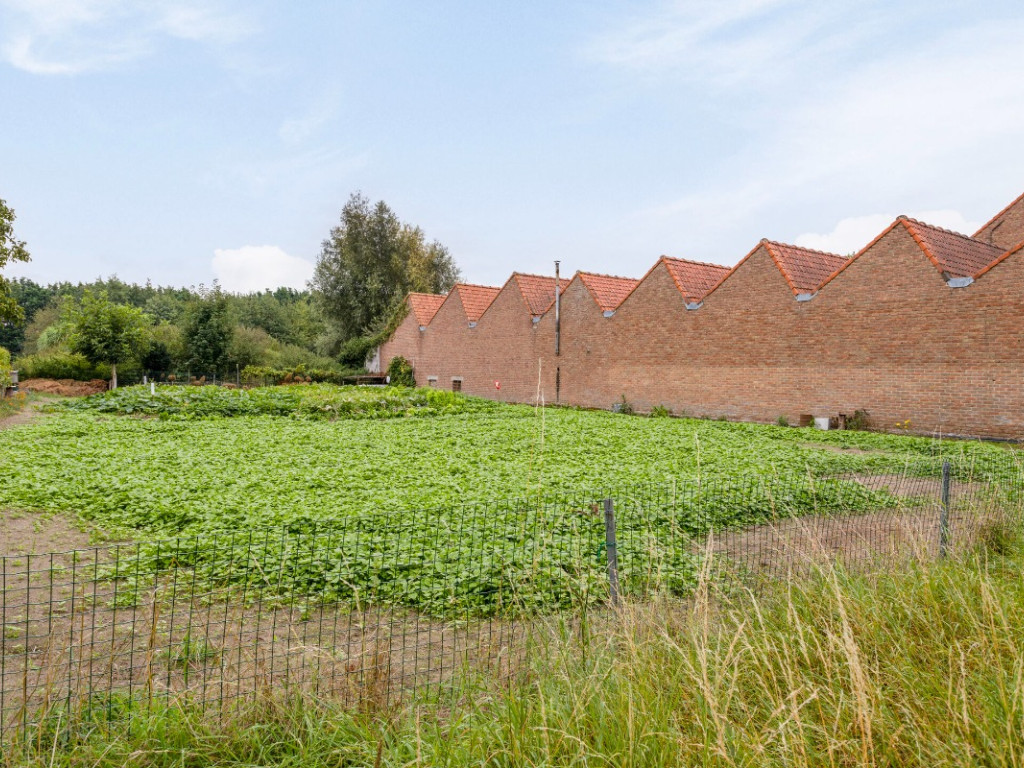 Heirweg - 42 - - 8710