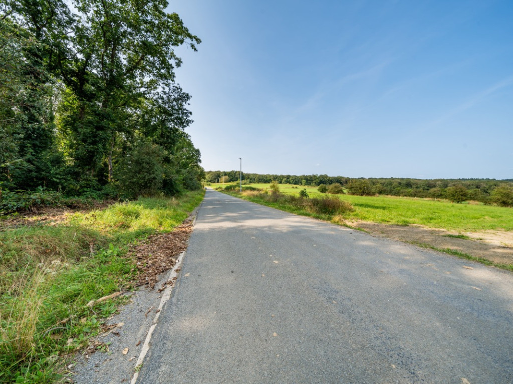 Tier de viné - 0 - - 6940