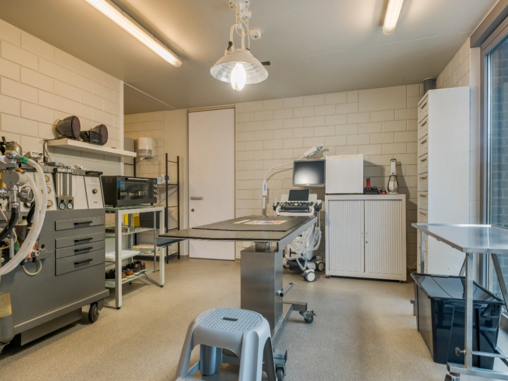 Kalvariestraat - 4 - - 9240