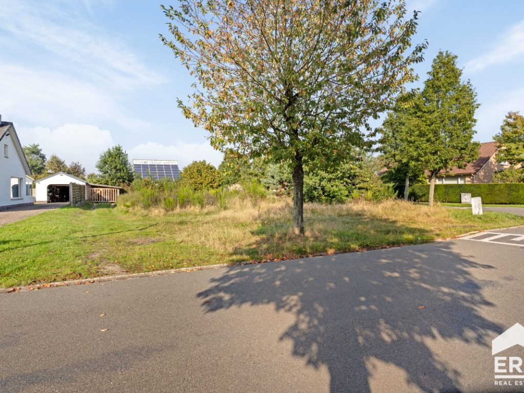 Sint-Franciscusstraat - 44 - - 3920