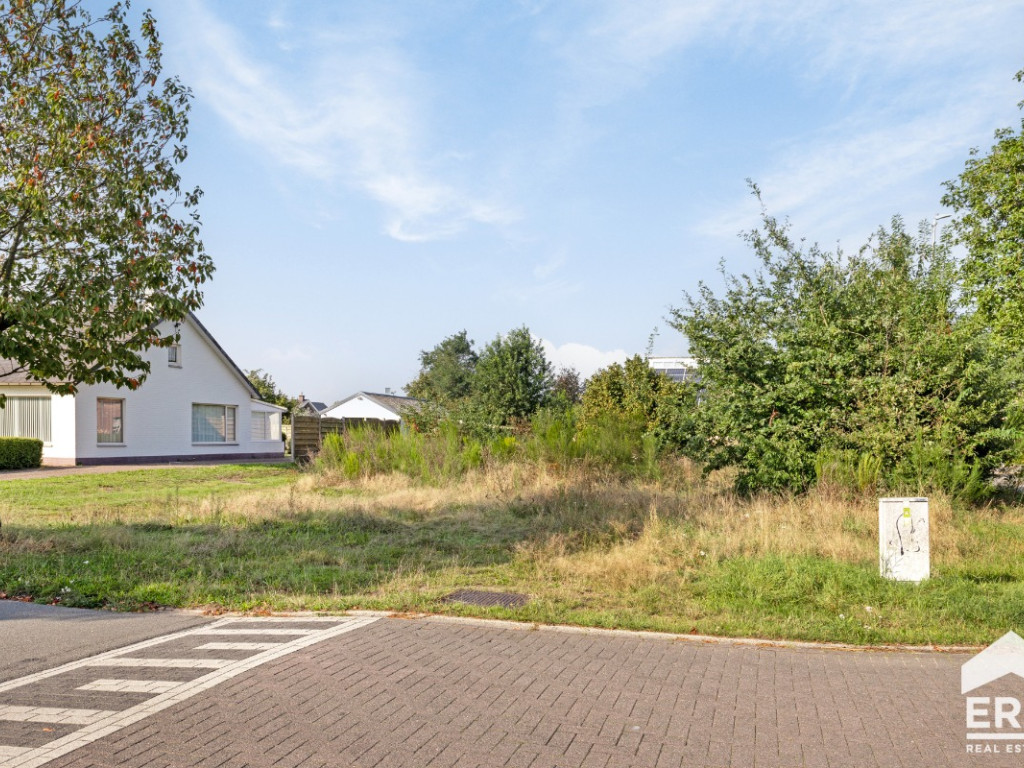 Sint-Franciscusstraat - 44 - - 3920
