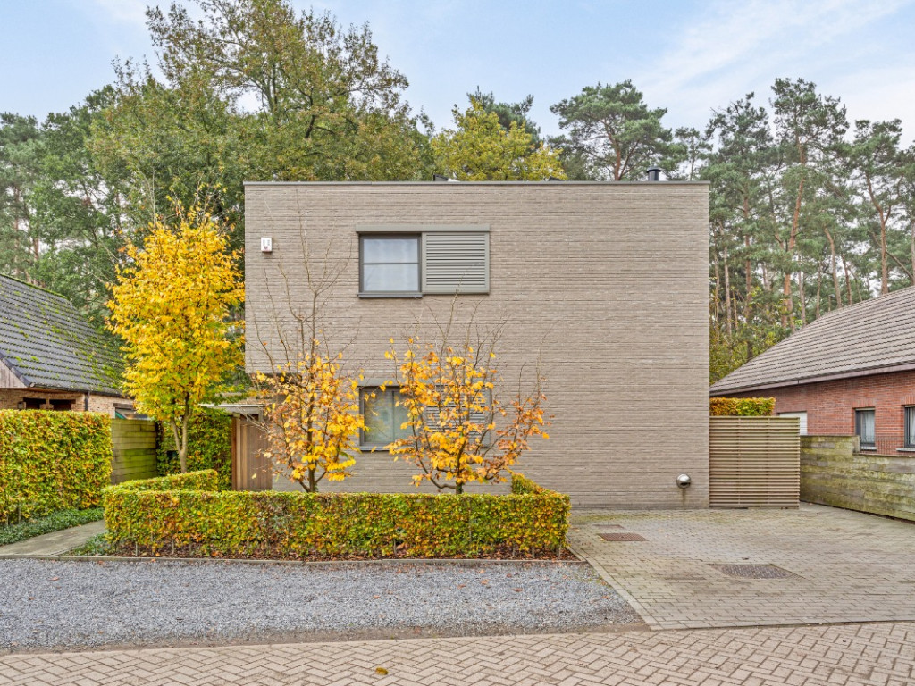 Grote Plek - 25 - - 2200